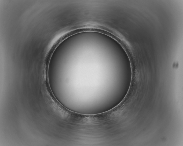 X0000089391368200706221308