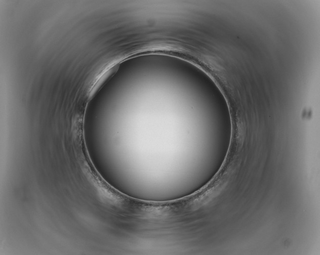 X0000089391369200706221308
