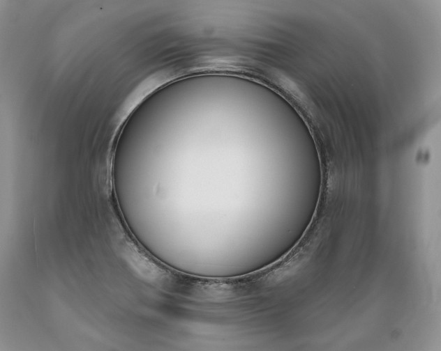 X0000089391370200706221308