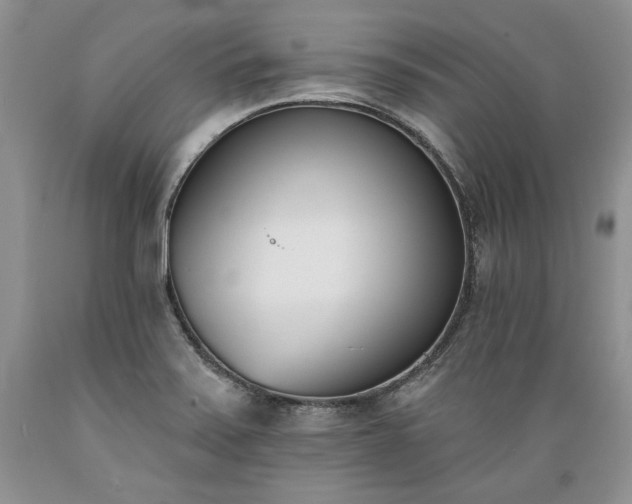 X0000089391371200706221308