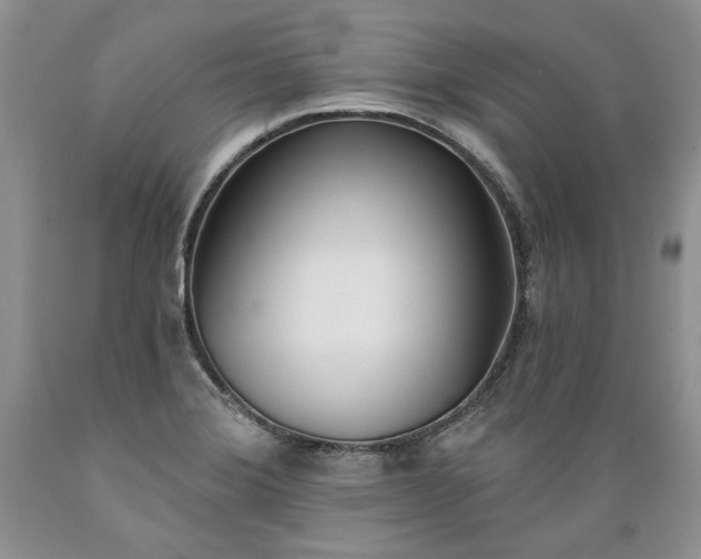 X0000089391372200706221308