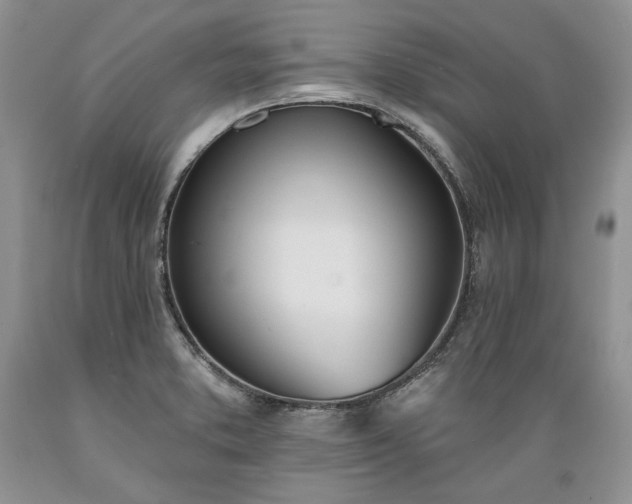 X0000089391373200706221308