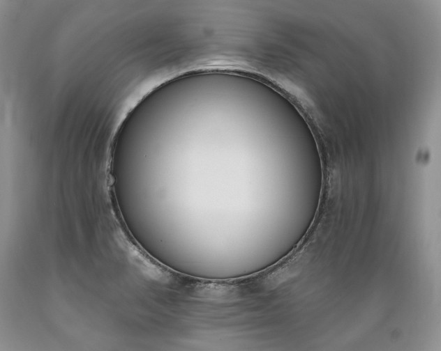 X0000089391374200706221308