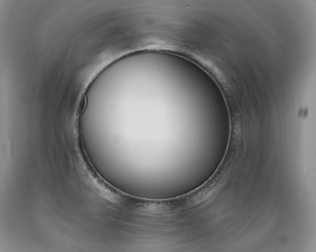X0000089391375200706221308