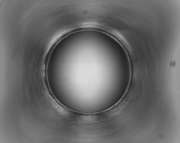X0000089391376200706221308