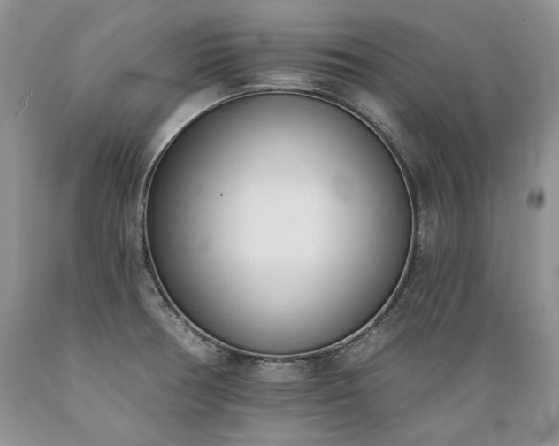 X0000089391378200706221308