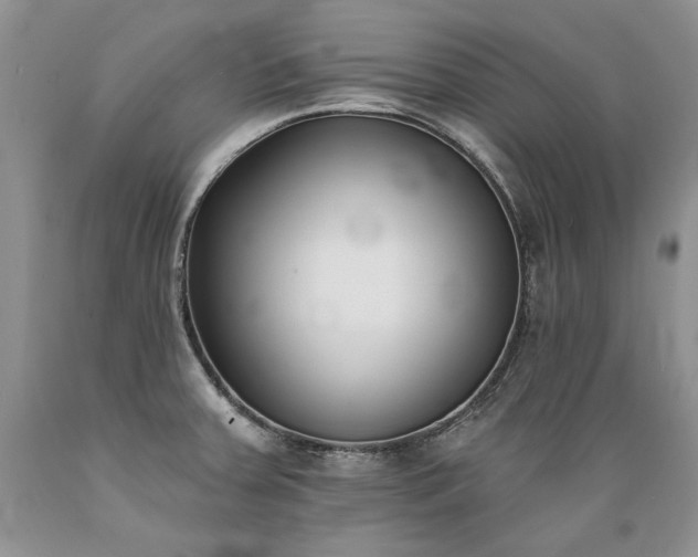 X0000089391379200706221308