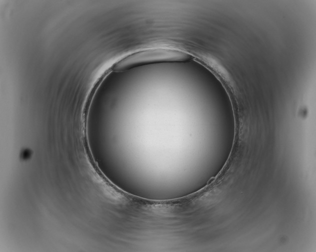 X0000089391380200706221308