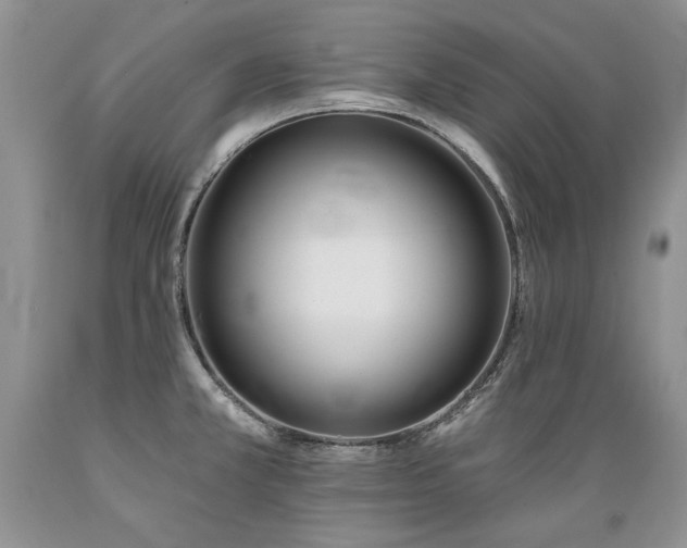 X0000089391381200706221308