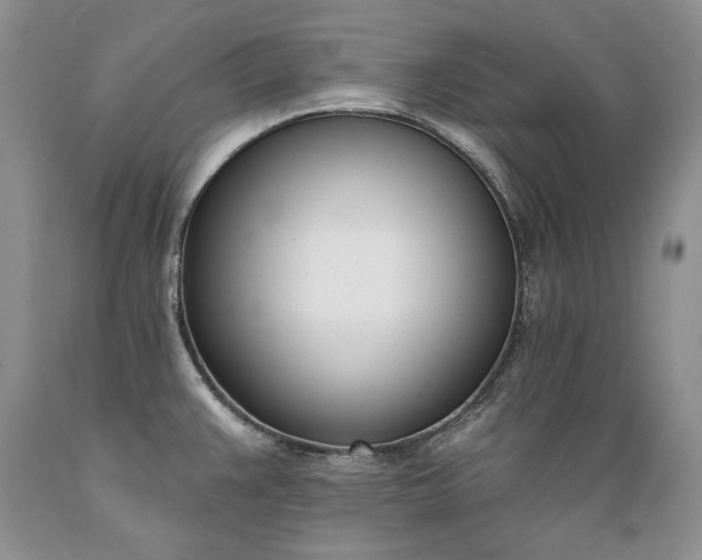 X0000089391383200706221307