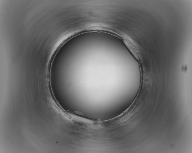 X0000089391384200706221307
