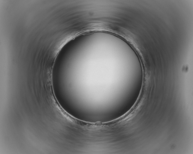 X0000089391385200706221307