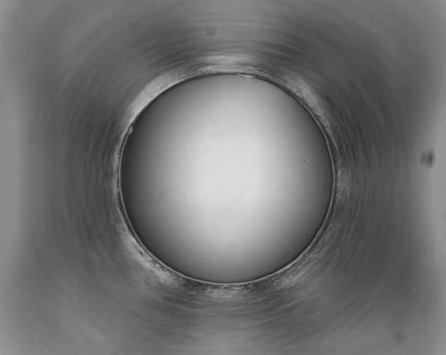 X0000089391386200706221307