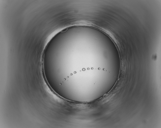 X0000089391387200706221307