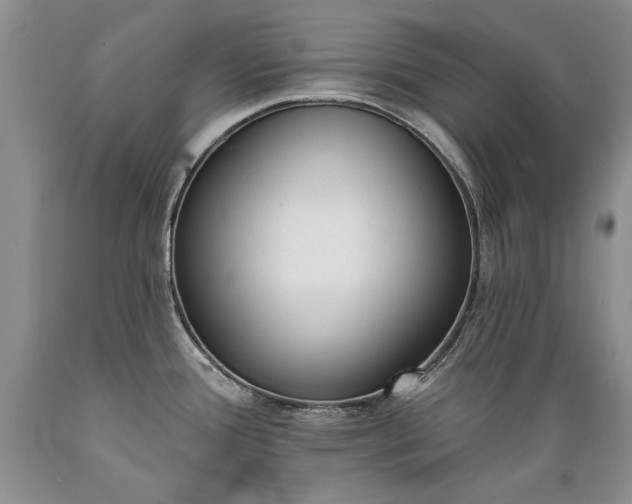 X0000089391388200706221307