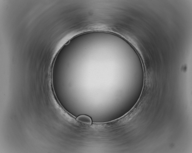 X0000089391389200706221307