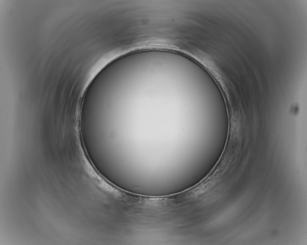 X0000089391390200706221307
