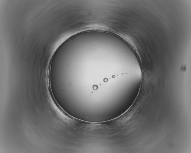 X0000089391391200706221307