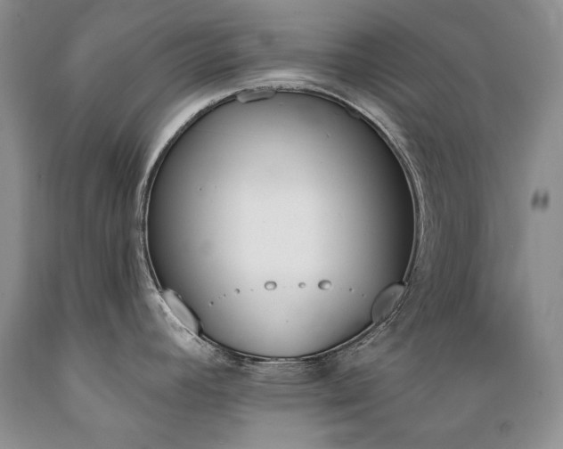 X0000089391392200706221307