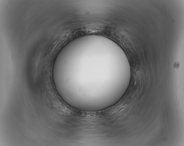 X0000089391393200706221307