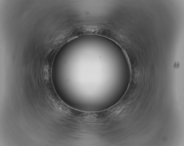 X0000089391394200706221307