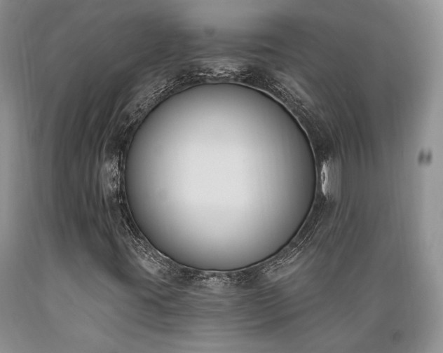 X0000089391395200706221307