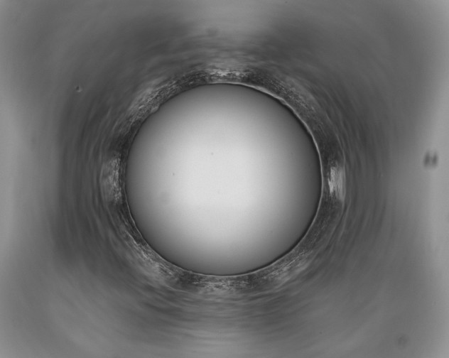 X0000089391396200706221307