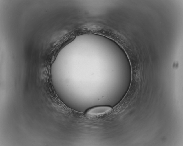 X0000089391397200706221307