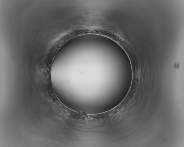 X0000089391398200706221307