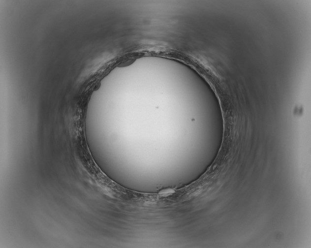 X0000089391399200706221307