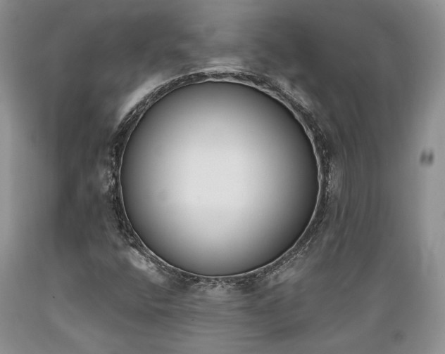 X0000089391400200706221307