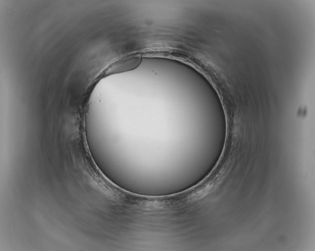 X0000089391401200706221307