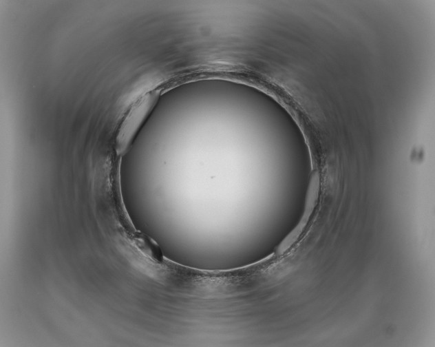 X0000089391402200706221307