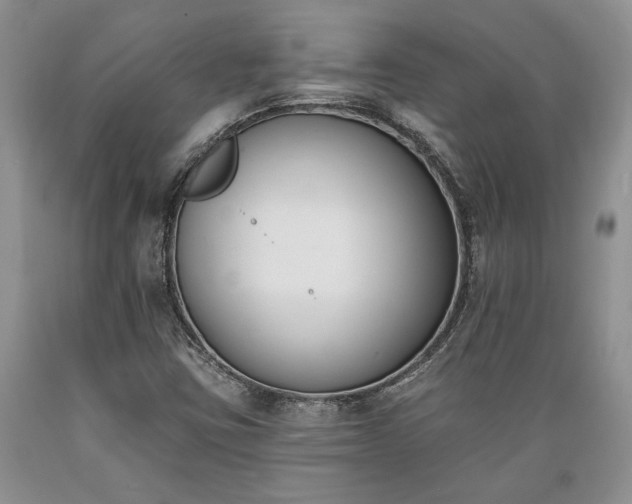X0000089391403200706221307