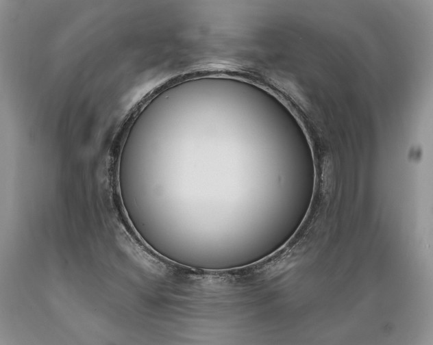 X0000089391404200706221307