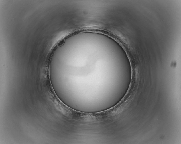 X0000089391405200706221307