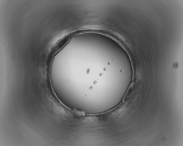X0000089391406200706221307