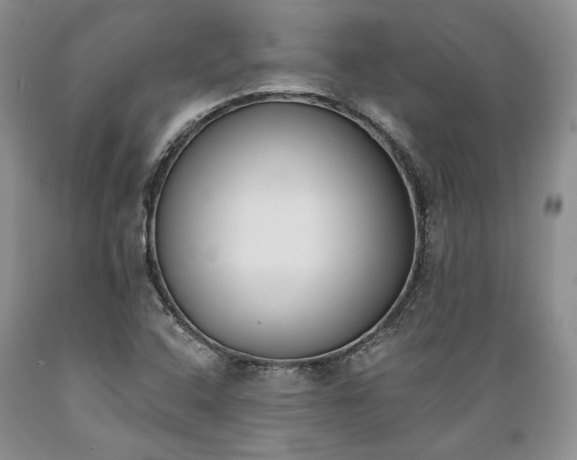 X0000089391408200706221307