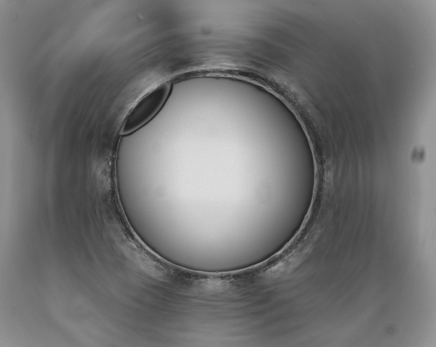 X0000089391409200706221307