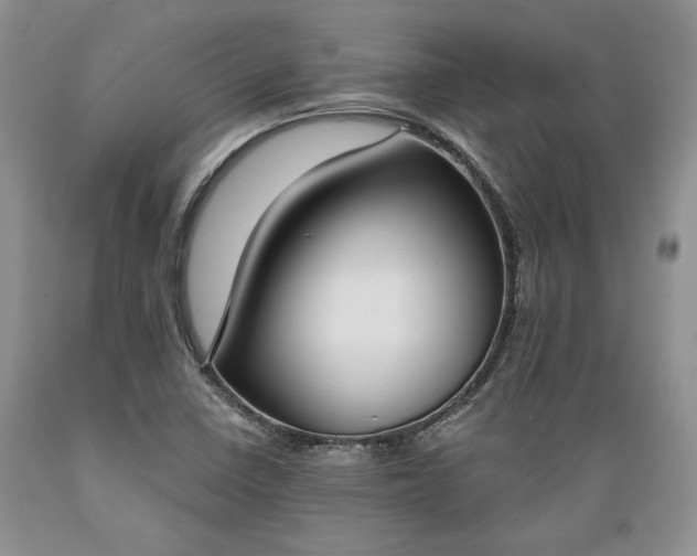 X0000089391410200706221307