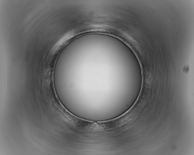 X0000089391411200706221307