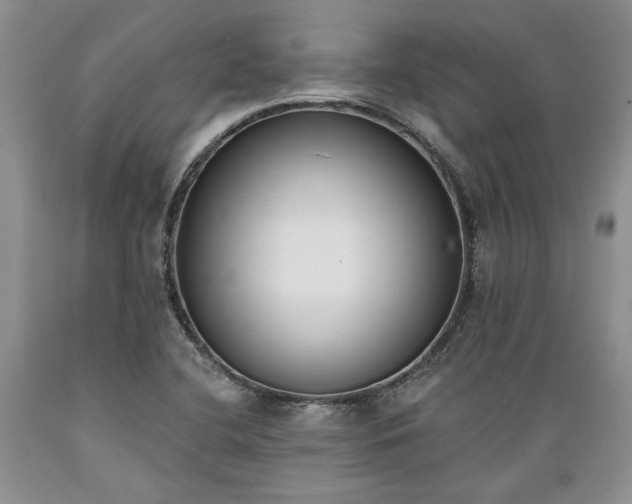 X0000089391412200706221307
