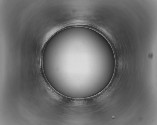 X0000089391413200706221307