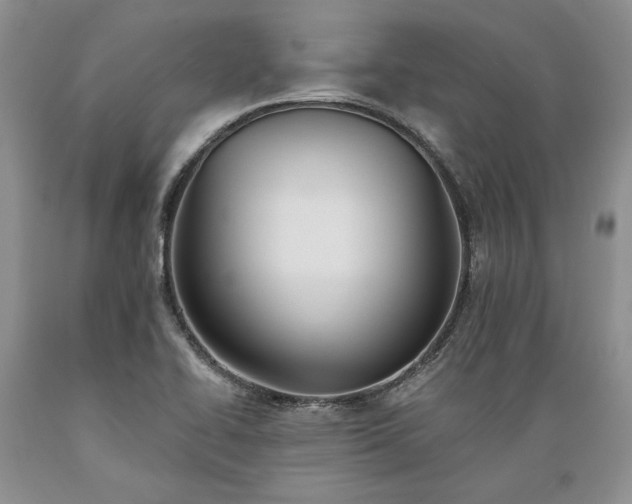 X0000089391414200706221307