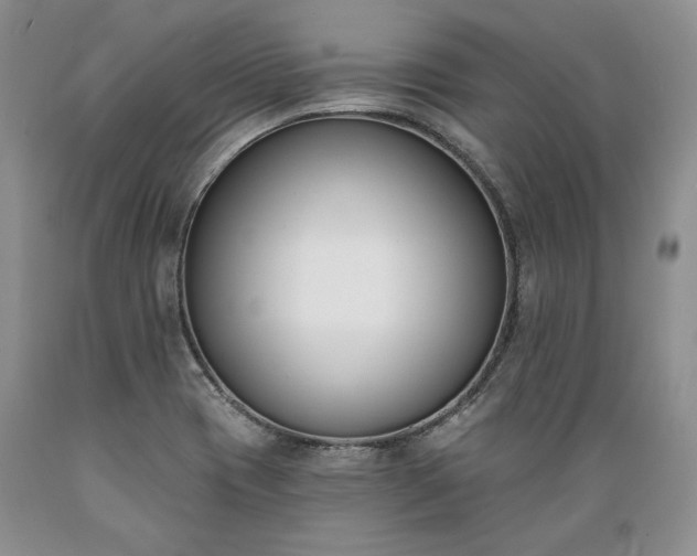 X0000089391417200706221307