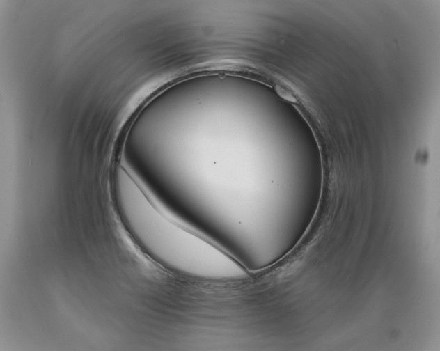 X0000089391418200706221307
