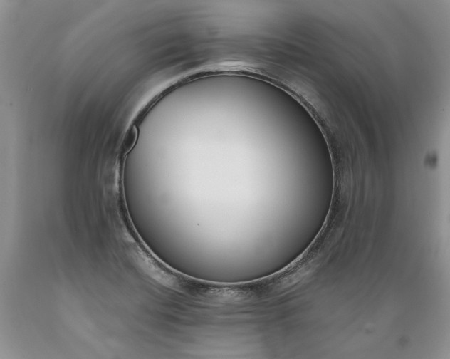 X0000089391420200706221307
