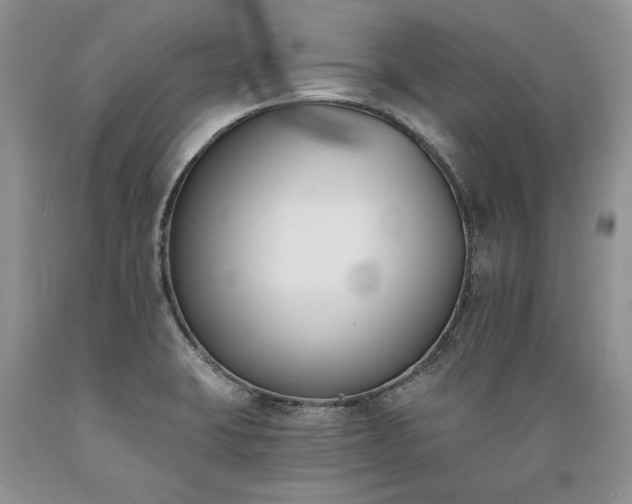 X0000089391423200706221307