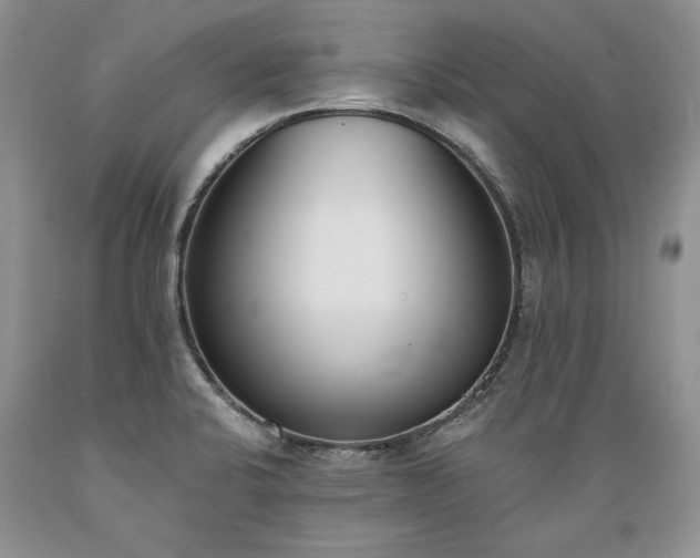 X0000089391424200706221307