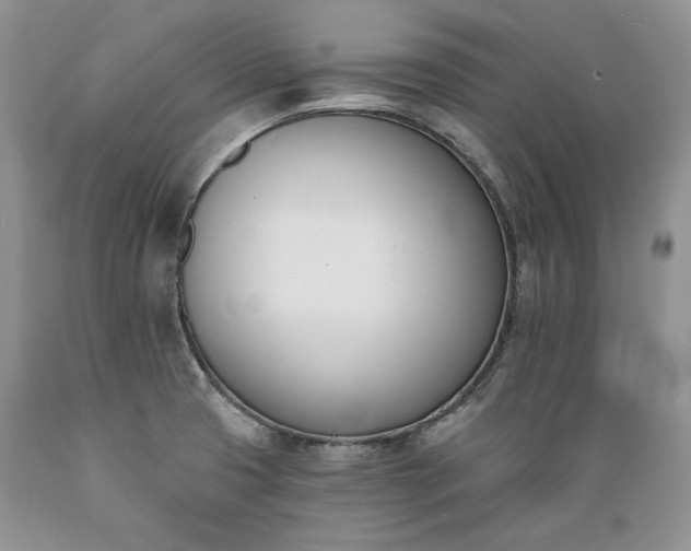 X0000089391425200706221307